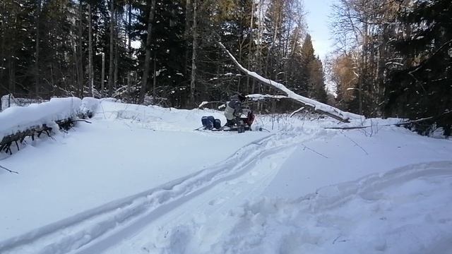 Ларвен 57. Покатушки в лесу 01.02.23 (ч. 3) смотреть онлайн