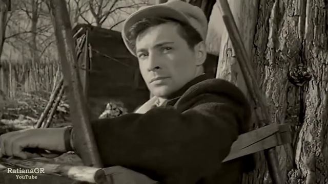 Парней так много холостых...