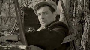 Парней так много холостых...