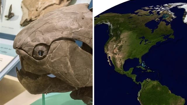 Terrifying Extinct Animals That are Not Dinosaurs смотреть онлайн