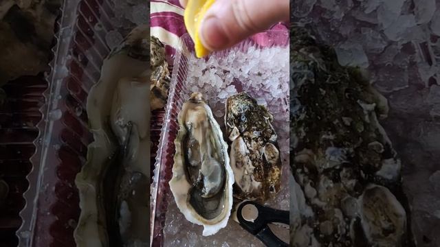как кушать устрицы смотреть онлайн