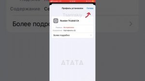 Как установить Сбербанк онлайн (Веб) на айфон(iPhone)? Пошаговая инструкция.