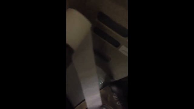 Симона смывает туалетную бумагу в унитаз самолета. Прикол!! смотреть онлайн