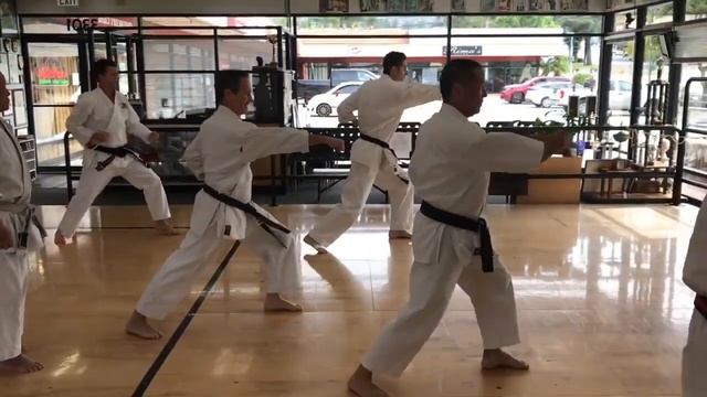 КАРАТЭ - ГОСОКУ - РЮ ... Go No Kata Created by Soke Takayuki Kubota 10th Dan Gosoku Ryu смотреть онлайн