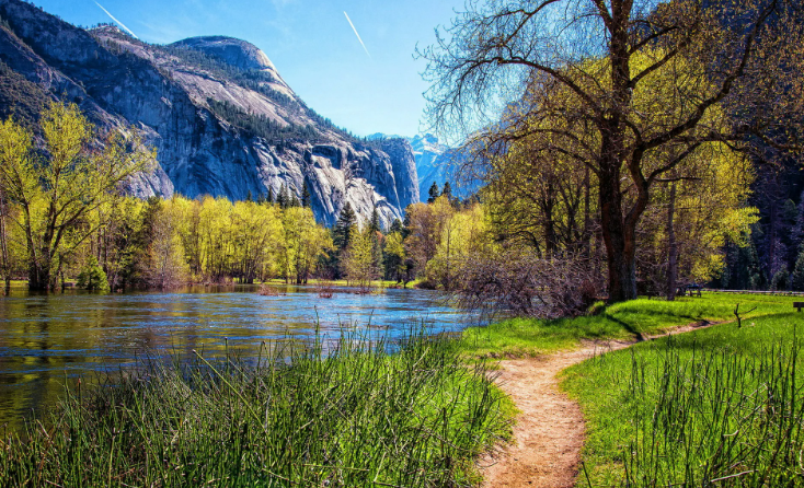 Успокаивающая весенняя горная река ✦ Пение соловья в лесу ✦ Звуки леса и пение птиц ✦ Relax Sleep смотреть онлайн