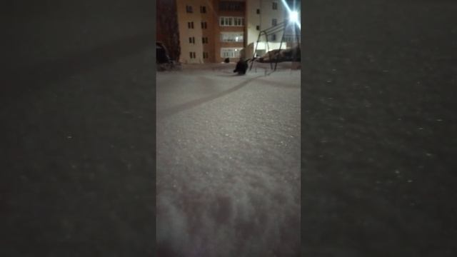 ☮️Хлоя-Грей??: "Я тоже захотела эту Песню!" ??? смотреть онлайн