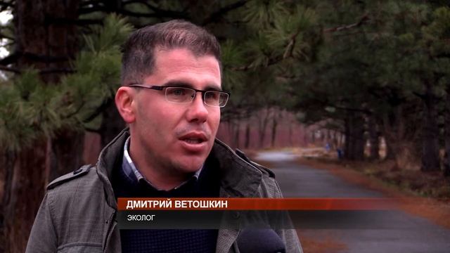 Судьба ботанического сада в Бишкеке решена! смотреть онлайн