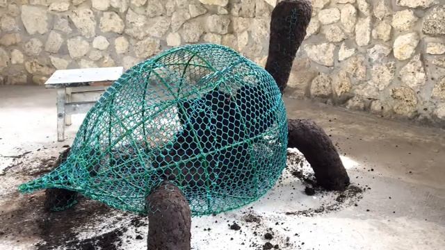 Как своими руками сделать топиари. смотреть онлайн