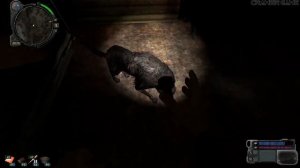 S.T.A.L.K.E.R. ЗОЛОТОЙ ОБОЗ #7 Ангел Хранитель. Тайник Шамана