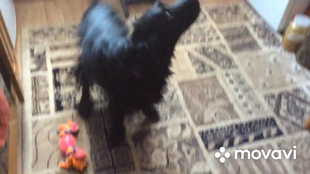 Моей любимой девочки - Бритни 5 лет. Юбилей! Праздничный стол и подарки! смотреть онлайн