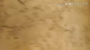 штукатурка глиной деревянных стен