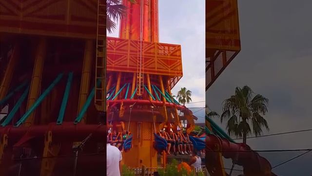 Bush gardens. Florida USA смотреть онлайн