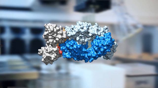 Что такое пептиды и почему они важны каждому человеку, желающему жить полноценной жизнью. смотреть онлайн