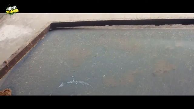 Фабрика бумаги из какашек слона в Краби Таиланд смотреть онлайн