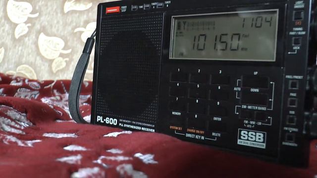 радио Tecsun PL600, прием на диапазоне FM смотреть онлайн