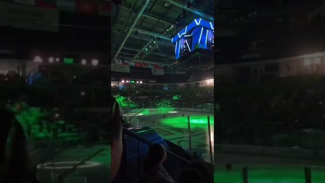 Я смотрю хоккей и радуюсь жизни