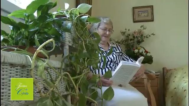 Les Jardins de Cybèle - Résidence Val d'Osne SAINT MAURICE смотреть онлайн