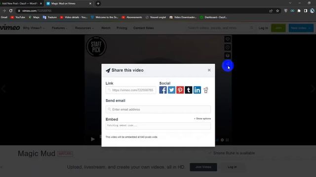 How To Embed a Video From Vimeo in WordPress смотреть онлайн