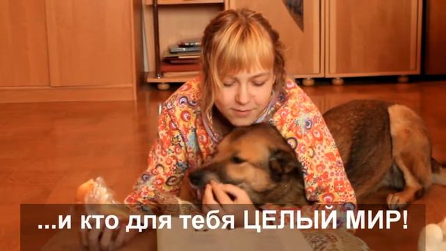 Четыре лапы идут рядом с нами смотреть онлайн