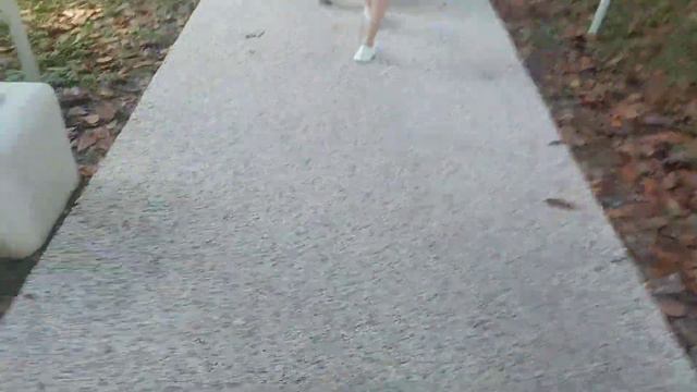 ВЛОГ: 4 День Не туда приехали. Ели нашли Национальный парк смотреть онлайн