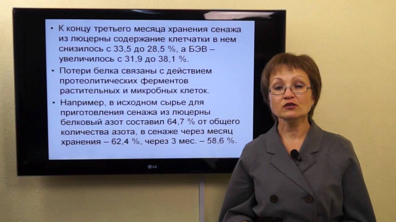 Козина Е.А. Сенаж смотреть онлайн
