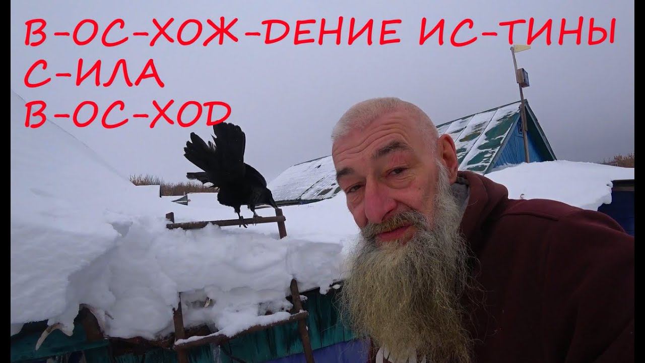 Истина в тор-бочке. смотреть онлайн