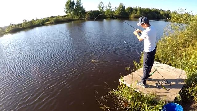 Карп на ультралегкие удилища! Карповые спиннинги или спиннинговый карпфишинг! смотреть онлайн