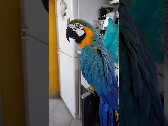 Арчуша и каша - дружба на век!!!)))