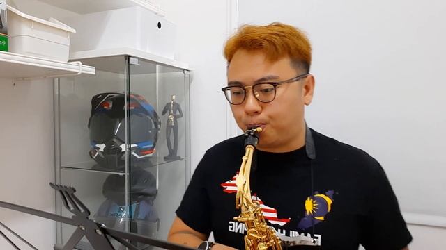 20230316 ? Peabo Bryson - Tonight I Celebrate My Love Saxophone Attempt 2 смотреть онлайн