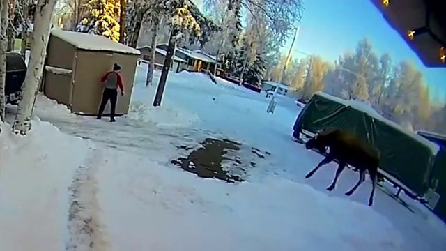 Нетипичный день на Аляске, США январь 2020 года смотреть онлайн