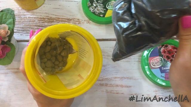 Вырасти дерево. Часть 3. В этот раз точно все получится)) смотреть онлайн