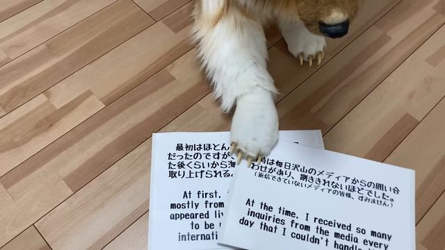 【着ぐるみ】犬になった動画を投稿してたら、登録者１万人達成しました！？ смотреть онлайн