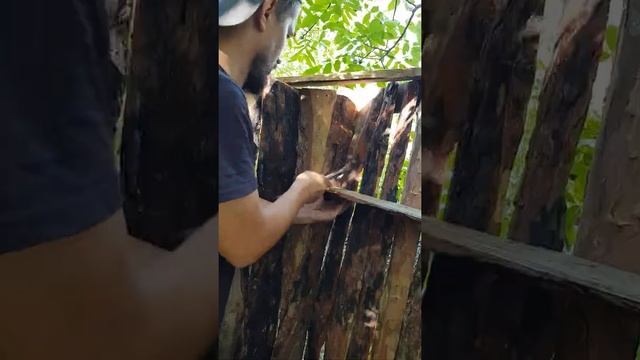 Купили заросший участок в Краснодаре за 220.000 р. 8 соток. Строим дом за 200.000 р. смотреть онлайн