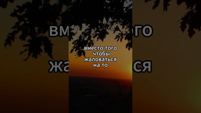 Мудрые цитаты Цитаты со смыслом #цитаты #мудрыеслова смотреть онлайн