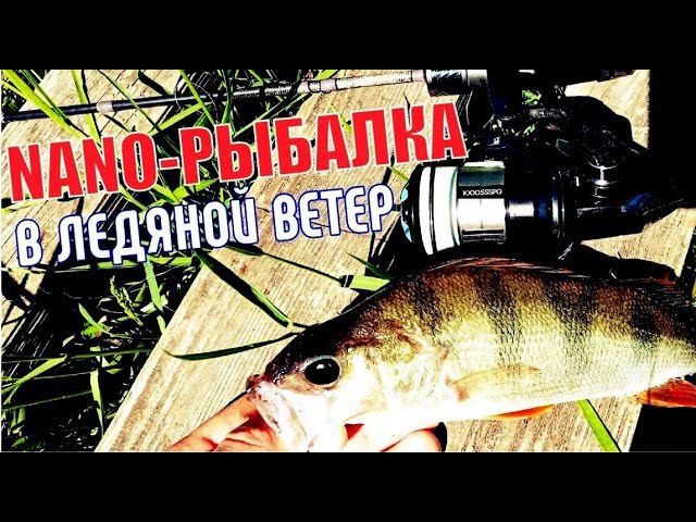 РЫБА КЛЮЁТ как из Пулемёта! наноДЖИГ может ВСЁ! Разловил Vanquish 1000SSSPG. смотреть онлайн