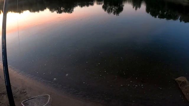 Сазан на Ахтубе смотреть онлайн