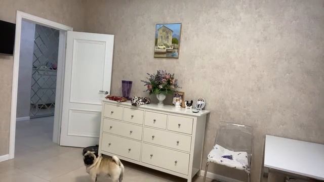 Стрижка. Покраска волос поднимает настроение ! ТОчно! смотреть онлайн