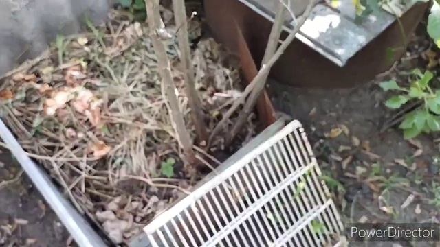 Славянск.09.08.23. Летом не отпускайте сон‼️ День Без Плана смотреть онлайн