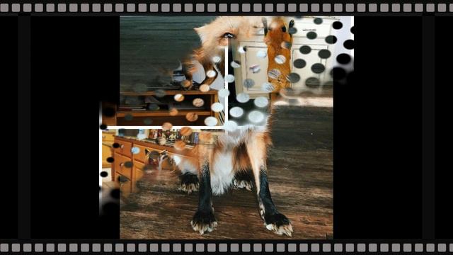 Сказки дядюшки Ку-ку - Чихалка смотреть онлайн