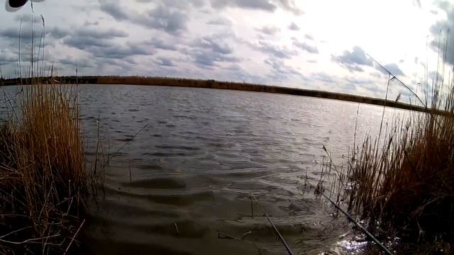 карась весной на снасть УБИЙЦА КАРАСЯ смотреть онлайн