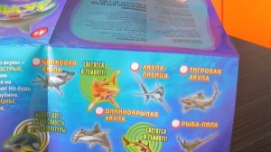 АКУЛЫ & КО МАКСИ от Де Агостини Открываем акулу из рекламы Sharks&KO Max by De Agostini