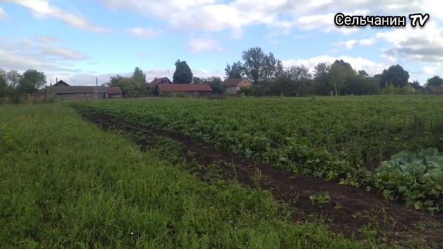 НАШ БЕЗОБРАЗНЫЙ ОГОРОД|ПОПОЛНЕНИЕ В НАШЕЙ СЕМЬЕ смотреть онлайн