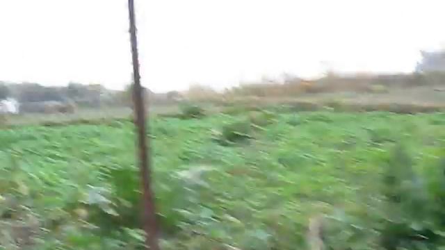 Копаем хрен на зиму смотреть онлайн