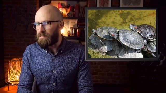 Incredible Facts about the Teenage Mutant Ninja Turtles смотреть онлайн