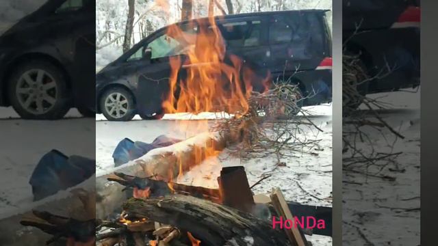Tbilisi national park