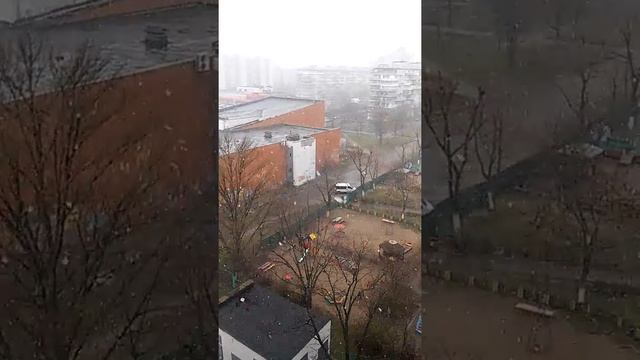 Снег в марте 22.03.2020. Сегодня выпал снег