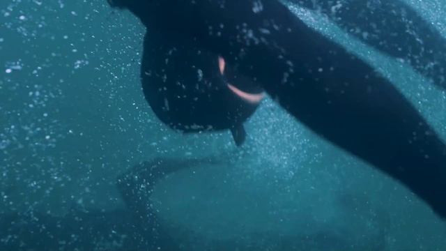 ASGARD Combat Swimmers смотреть онлайн
