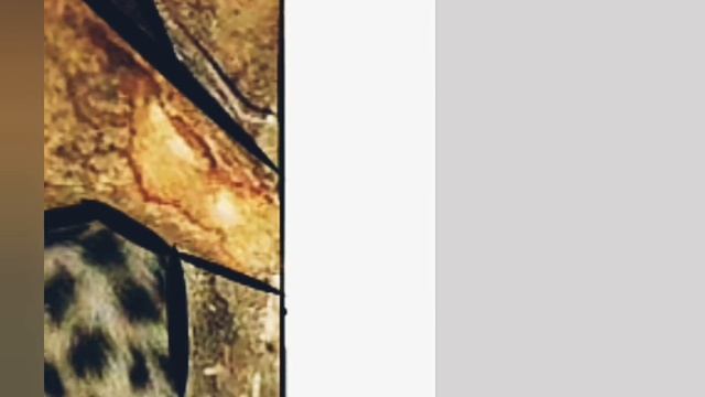 ??Рисовала котят с трафарета ?? смотреть онлайн