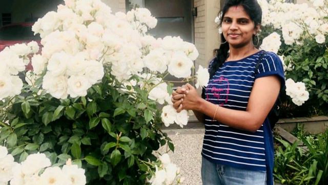 ஆஸ்திரேலியா விசிட்டர் விசால வேலை செய்வது சட்டப்படி சரியா?VISA Reject ஆகமா இருக்க என்ன செய்யணும்? смотреть онлайн
