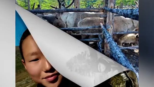 Cтаршая категория | Хандыгская СОШ, “Традиции кочевников” смотреть онлайн